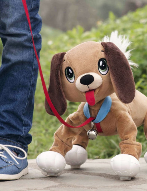 Pejsek Floppy
