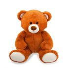Plyšový pohádkový medvídek 30 cm mluvící – foto 1