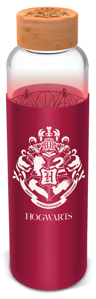 Skleněná láhev s návlekem 585 ml, Harry Potter