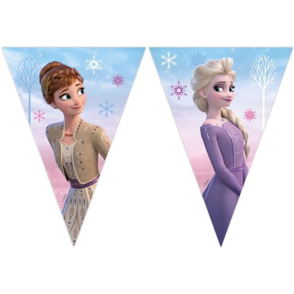 Frozen party - Girlanda vlaječková  230 cm
