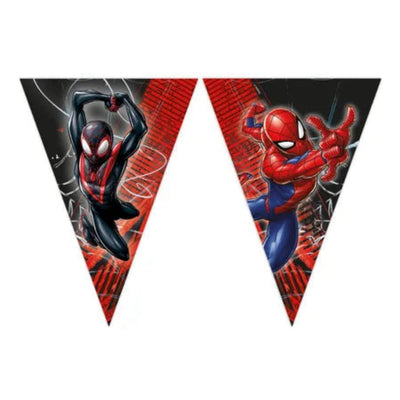 Banner papírový trojúhelníkový Spiderman World of Web