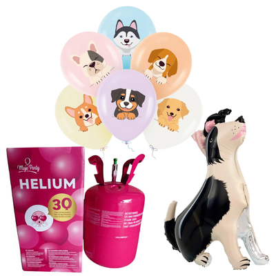 Helium s balónky s pejsky a border kolií